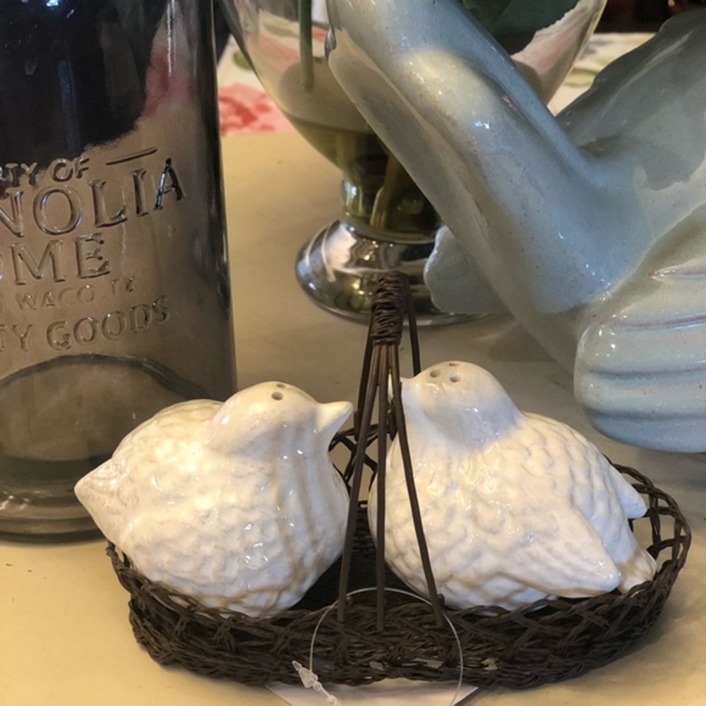 Last 1‼️Beautiful Farmhouse Bird Salt & Pepper Shakers - Picture 3 of 5